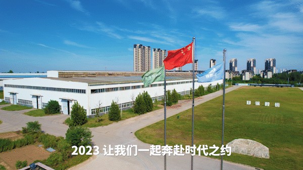 金百博股份.jpg