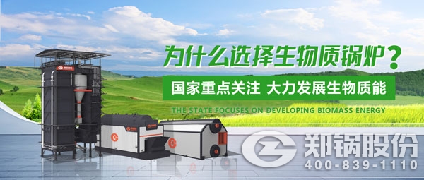 金百博生物质锅炉.jpg