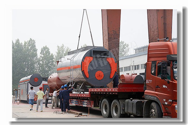 生物质蒸汽锅炉内部结构图是什么样的？？？？？？？